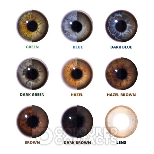 Raya Brown 30 Day Lenses | Natural Contact Lenses