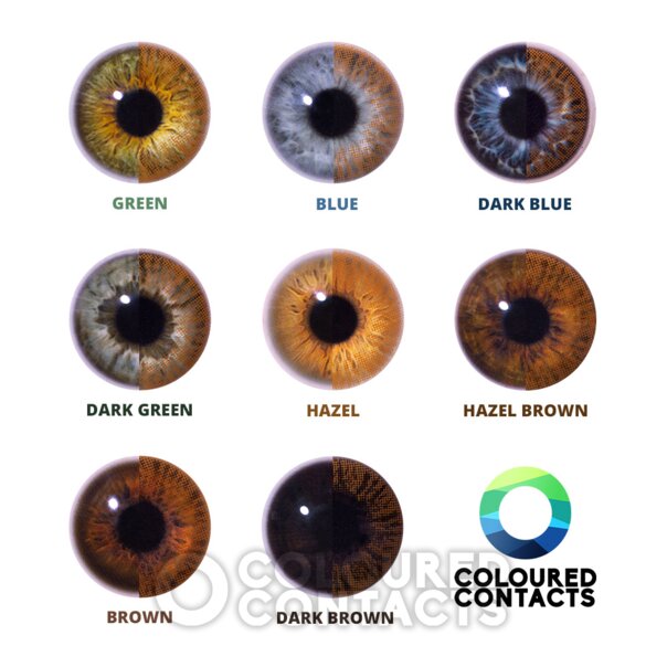 Rich Honey One Tone Colored Contact Lenses | 30 Day