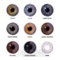 Violet Natural Coloured Contact Lenses (30 Day) | Coloured Contact Lenses