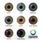 Moss Green Coloured Contact Lenses (Daily) | Coloured Contact Lenses