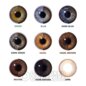 Raya Brown 30 Day Lenses | Natural Contact Lenses