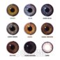 Violet Dawn Colored Contact Lenses, Daily Non Prescription