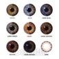 Big Eye Sexy Brown Natural Contact Lenses (30 Day) | Coloured Contact Lenses