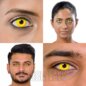 Yellow Coloured Contact Lenses (Daily) | Coloured Contacts