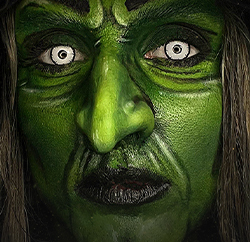 Découvrez toutes les couleurs dans notre galerie !